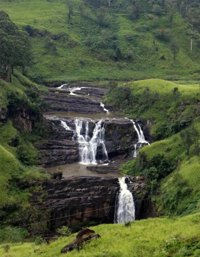 Tea plantations and misty mountains in Nuwara Eliya