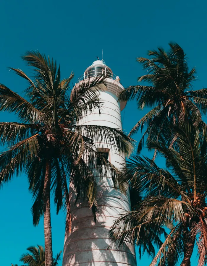 Tropical beach relaxation along Sri Lanka's south coast