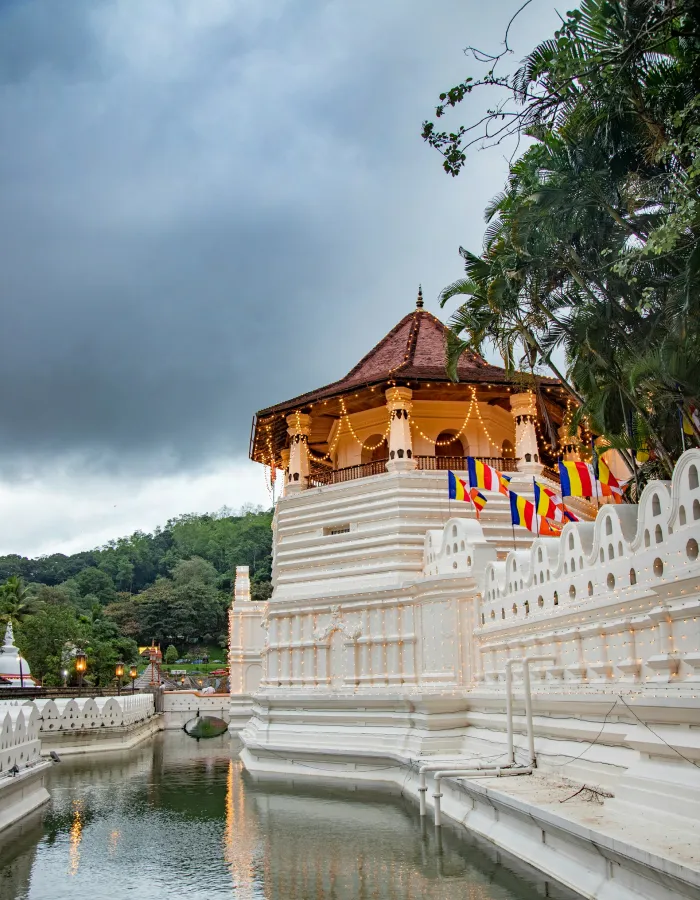 Kandy city street scenes and botanical gardens